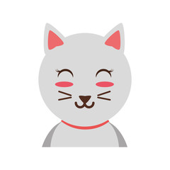 Cute cat cartoon