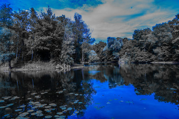 Fantasy Blue
