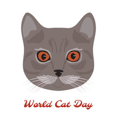 World cat day. Cat head close-up