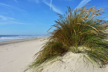 Costa Nova beach in Aveiro, Portugal