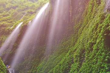 Foto op Plexiglas Indonesië Madakaripura Waterfall in Bromo Java Indonesia.