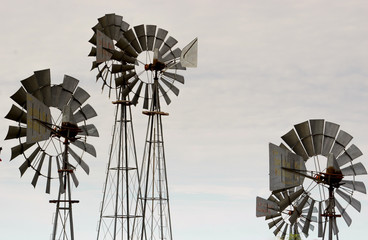 collection of four windmills with a gray sky background