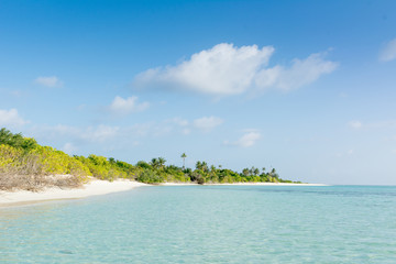 Tropical Sandy Beach