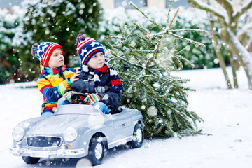 Two little kid boys driving toy car with Christmas tree