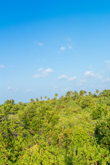 Obraz premium Green Maldives