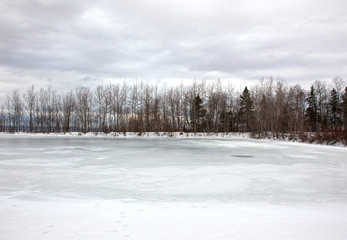 frozen pond and bare trees