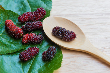 Mulberry in spoon on a wood plant, mulberry have Red and black color and  berry fruit good health