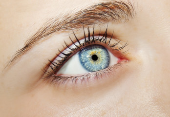 Obraz premium A beautiful insightful look woman's eye. Close up shot