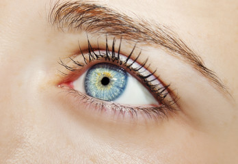 A beautiful insightful look woman's eye. Close up shot