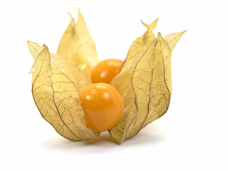 Physalis, Physalis peruviana