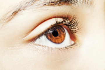 A beautiful insightful look woman's eye. Close up shot