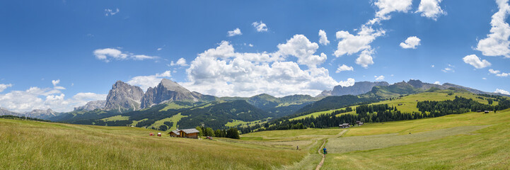 Fototapeta na wymiar Panorama Seiser Alm / Südtirol