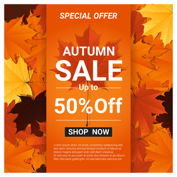 Autumn sale banner with colorful leaves , vector , illustration