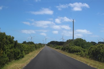 Fototapeta na wymiar Road through a wind farm against blue sky at Cape Bridgewater, Australia