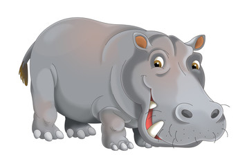 cartoon animal hippo - illustration for children