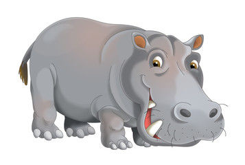 Fototapeta premium cartoon animal hippo - illustration for children