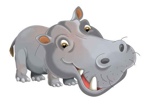 cartoon animal hippo - illustration for children