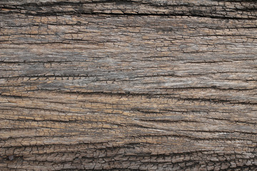 Wood background , old wood pattern