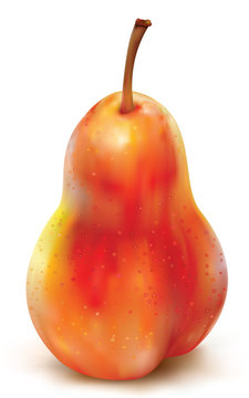 Red pear on white background