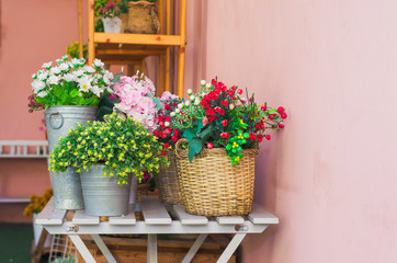 colorful of flowers in pot or vase decoration in the pink room background.