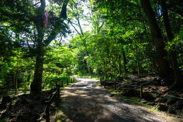 楽寿園遊歩道