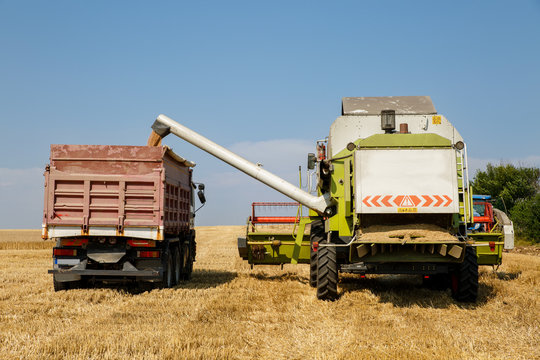 Combine harvester unloading wheat grain into trucks trailer on a bright summer day