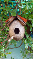 Selbstgemachtes Vogelhaus in Rumänien