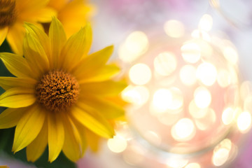 Yellow flowers macro with blurred background and bokeh.