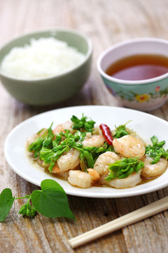 stir-fried Tonkin jasmin flowers and shrimp, vietnamese cuisine