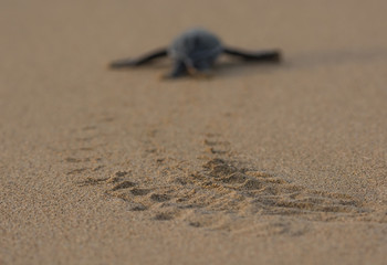 Path to a new life 