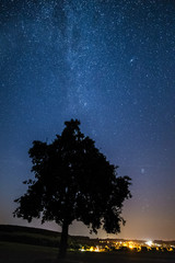 The stars above