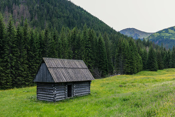 Fototapeta na wymiar Traditional wooden hut in Tatra mountains at Dolina Chocholowska