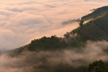 Big sun and Mist in sunrise,Sun on Sunrise,sun and mist on mountian,Morning,Sun on during sunrise,White balace orange on sunrise