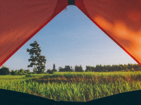 View From a Tent