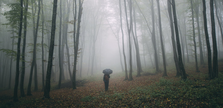 Man with umbrella in forest park with fog