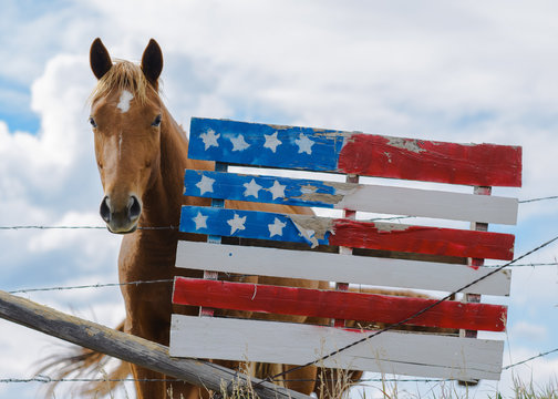 Horse standing by a hand painted version of an American flag
