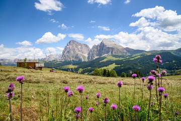 H&uuml;tte mit Heuernte auf der Seiser Alm