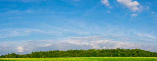 Fototapeta na wymiar Green field under blue clouds sky