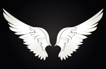 Fototapeta na wymiar Wings. Vector illustration on white background. Black and white style