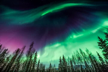 Deurstickers Noorderlicht Groen en paars noorderlicht boven bomen in Alaska