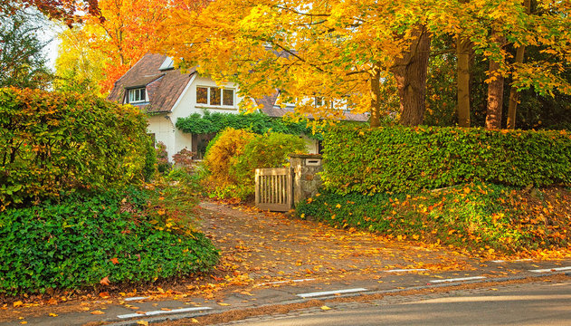 House with nice garden in autumn