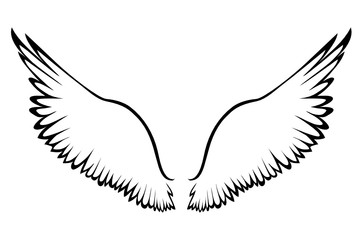 Wings. Vector illustration on white background. Black and white style. Linocut.