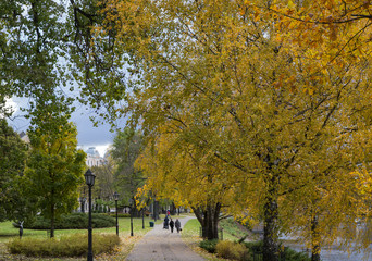 Road in the city park in autumn. Golden autumn...