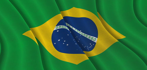 Brazilian Flag