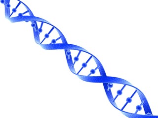 Digital illustration DNA structure isolated in white background