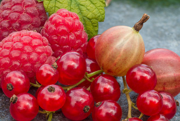 Juicy raspberries, gooseberries, blueberries and liens