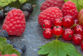 Juicy raspberries, gooseberries, blueberries and liens