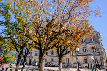 Old style school with autumn trees, Angouleme, France