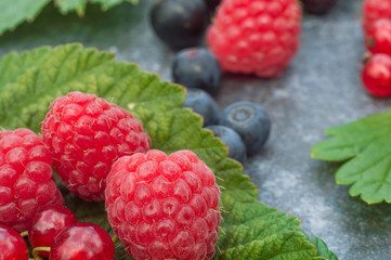Juicy raspberries, gooseberries, blueberries and liens