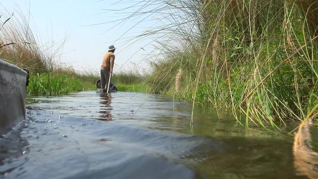 Safari in a Mokoro through the Okavango Delta (4K footage)
